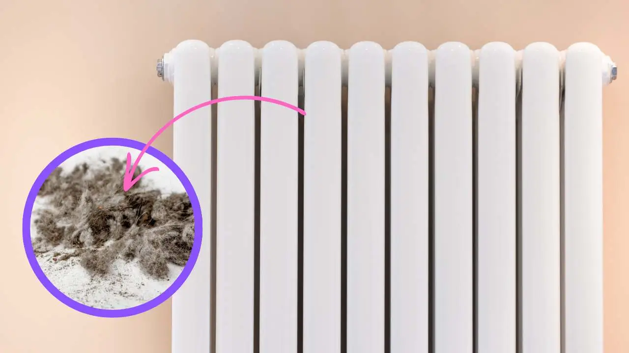 Come eliminare la polvere dai termosifoni