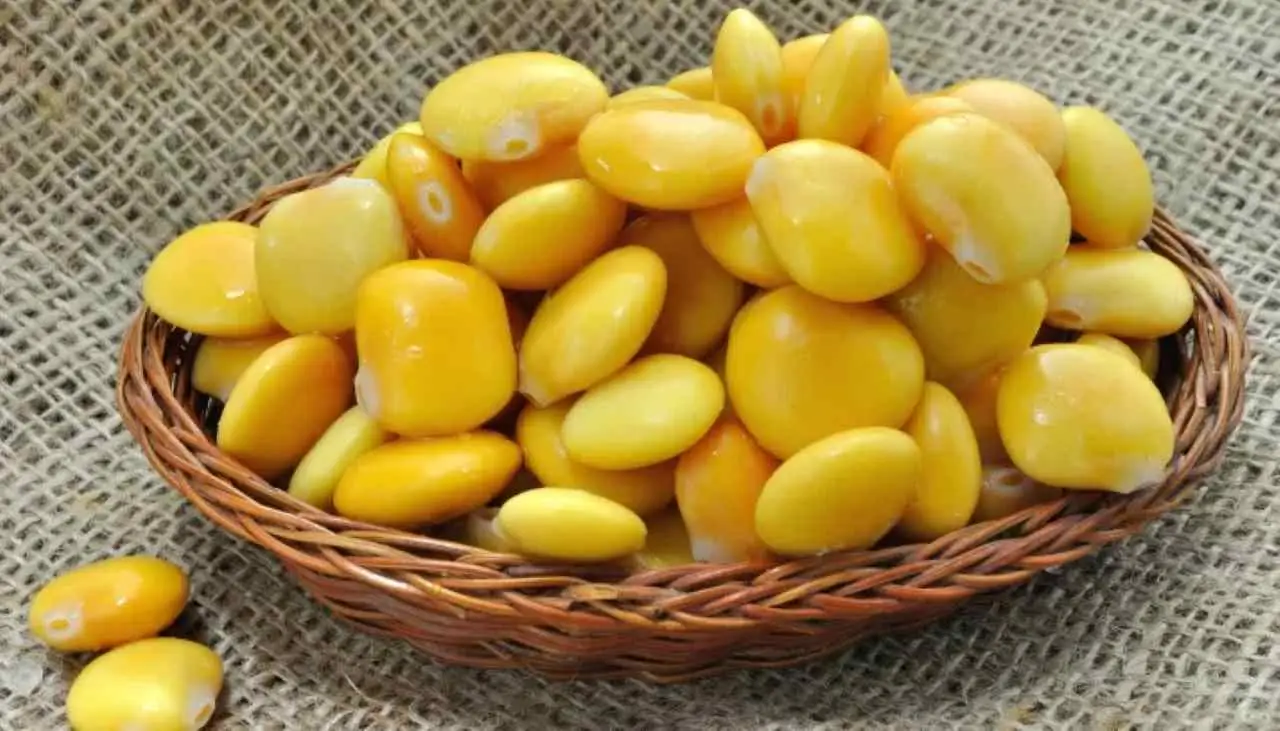 Il segreto per abbassare il colesterolo senza farmaci è nascosto in questo frutto che tutti ignoriamo